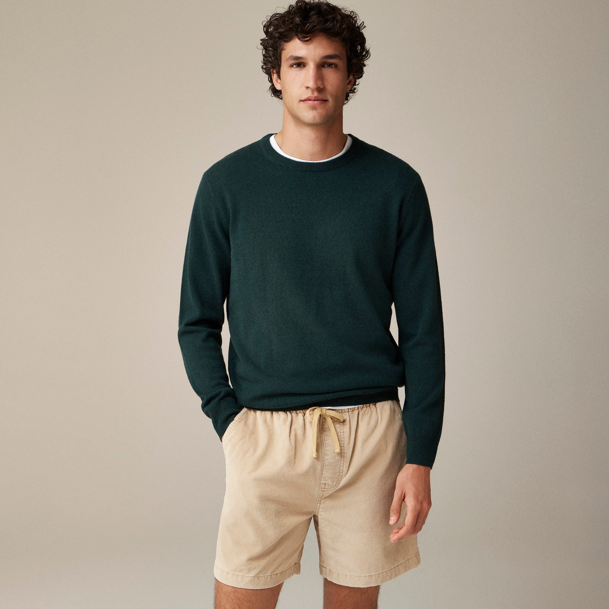 mens Cashmere crewneck sweater