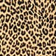 Tissue crepe turtleneck BROWN LEOPARD