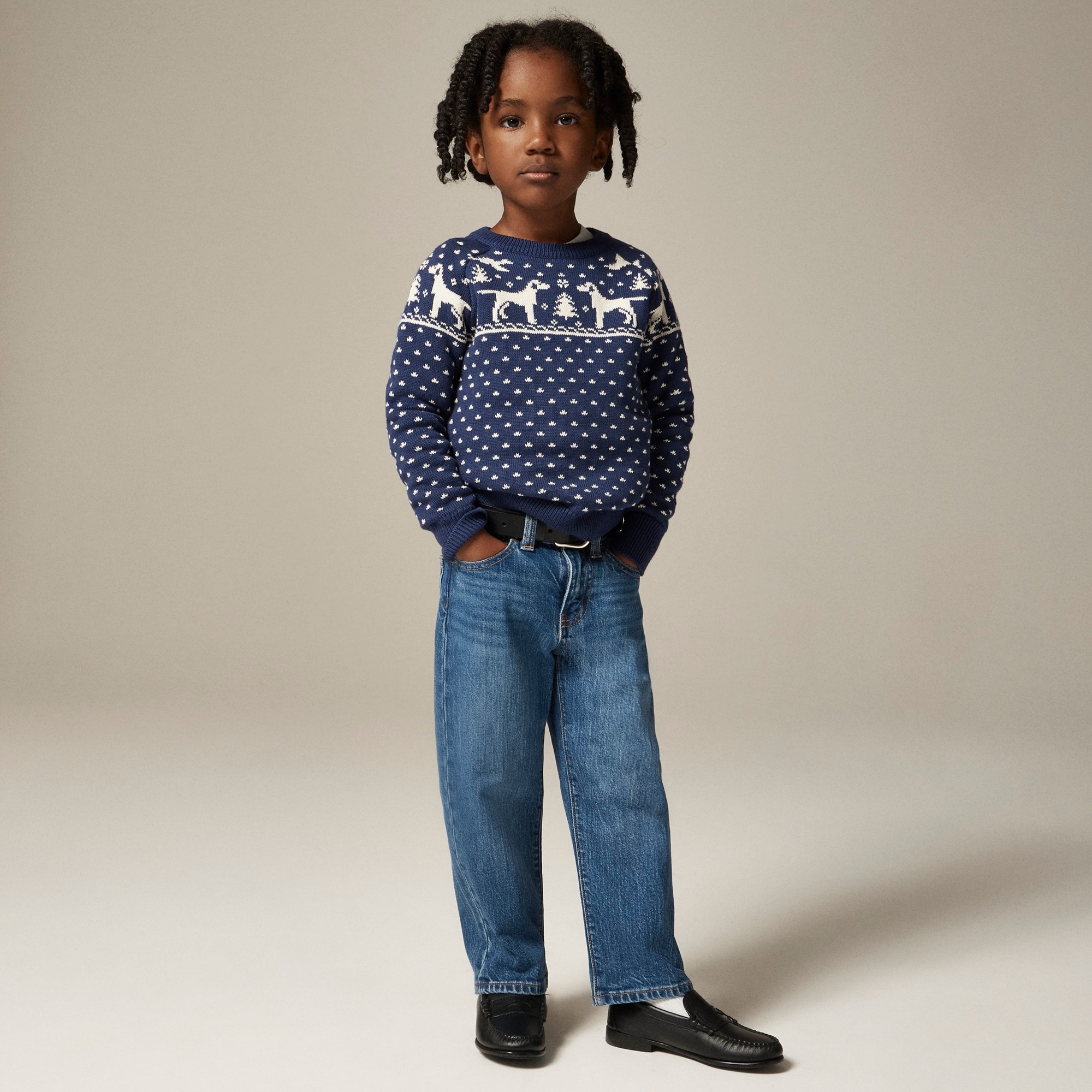 boys Boys' dog Fair Isle crewneck sweater