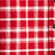 Embellished shrunken button-up shirt in plaid brushed cotton oxford RED